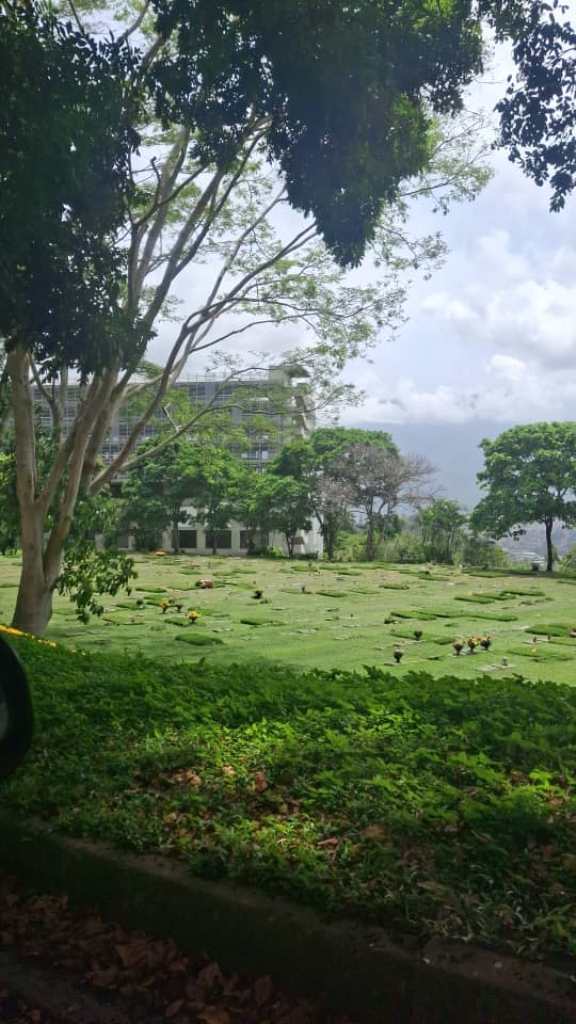 Terreno de 2 m² en La Guairita