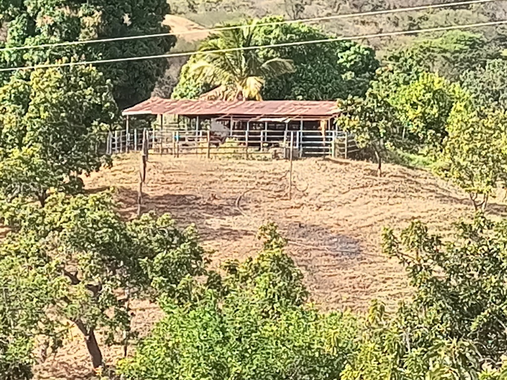 Foto 16
