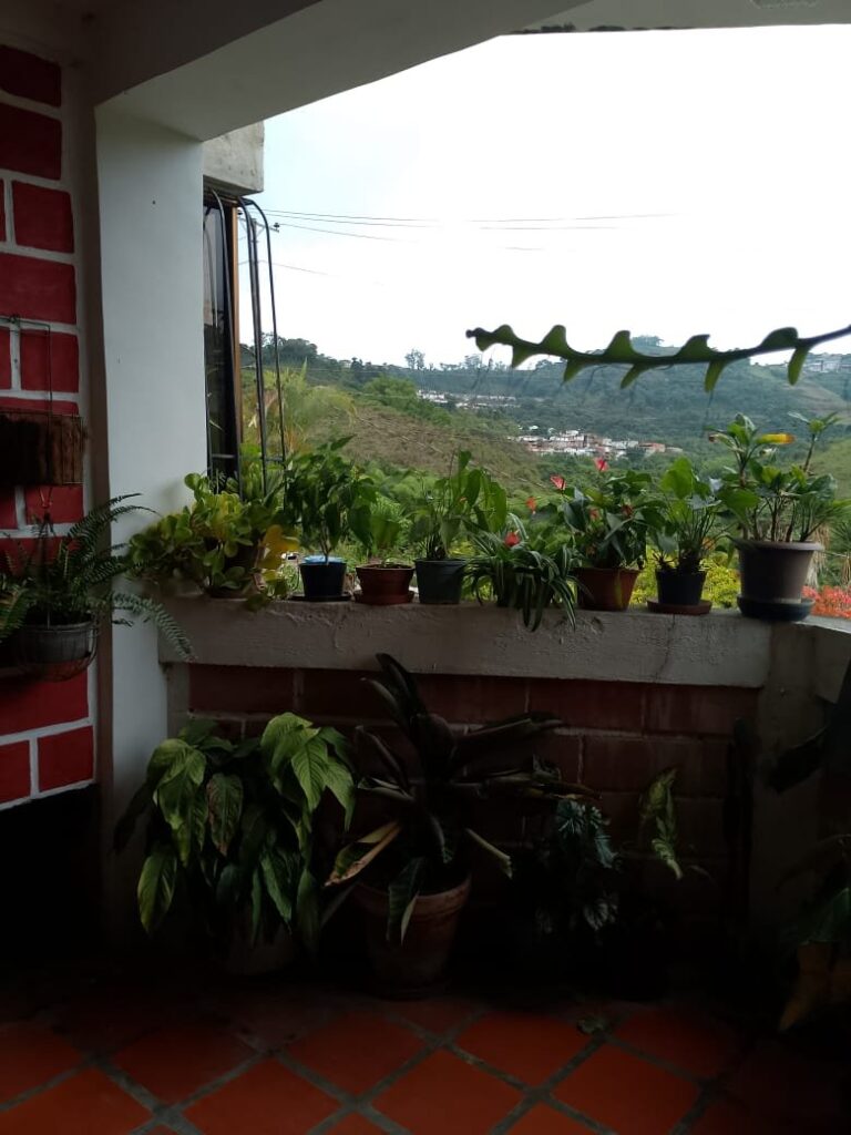 Apartamento en Venta Los Teques