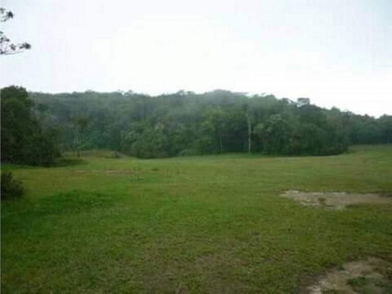 Terreno de 650.000 m² en El Junquito