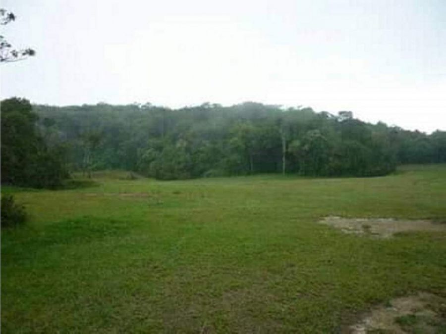 Terreno de 650.000 m² en El Junquito